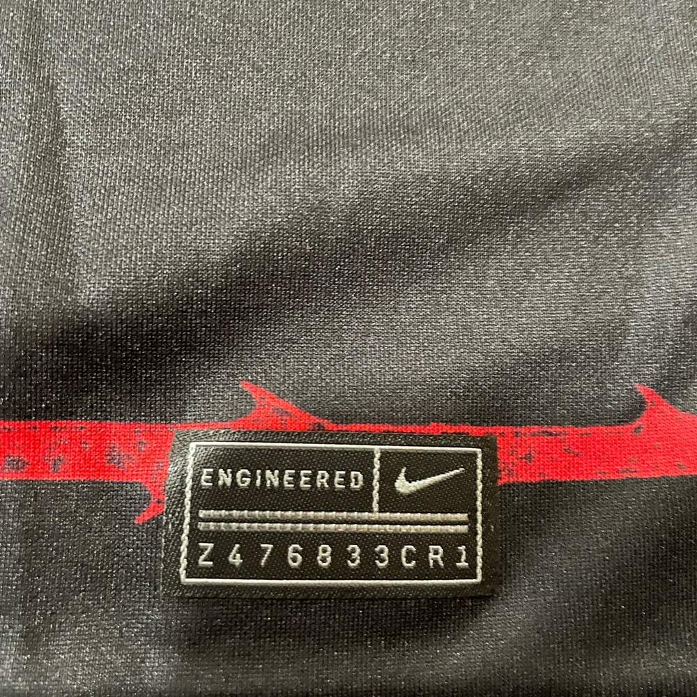 Portland Thorns FC NWSL Men’s Nike Jersey - Picture 10 of 11